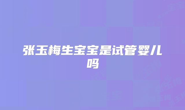 张玉梅生宝宝是试管婴儿吗