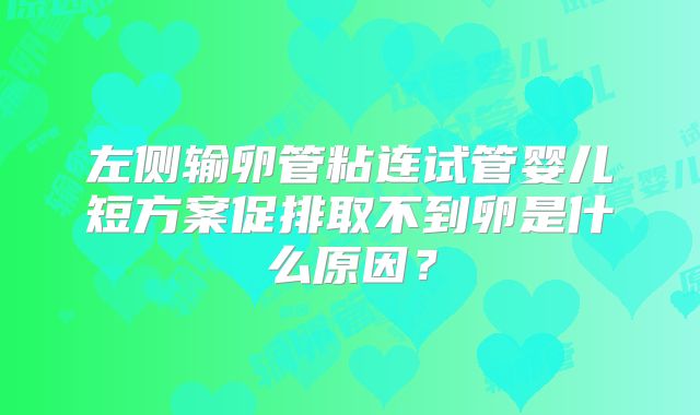 左侧输卵管粘连试管婴儿短方案促排取不到卵是什么原因?