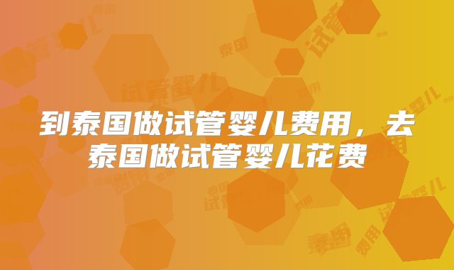 到泰国做试管婴儿费用，去泰国做试管婴儿花费
