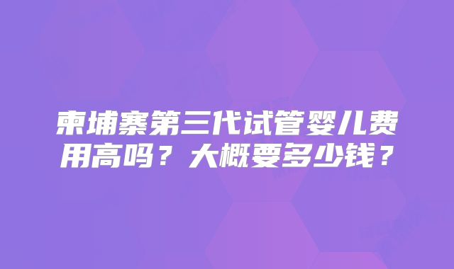 柬埔寨第三代试管婴儿费用高吗？大概要多少钱？