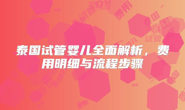 泰国试管婴儿全面解析,费用明细与流程步骤