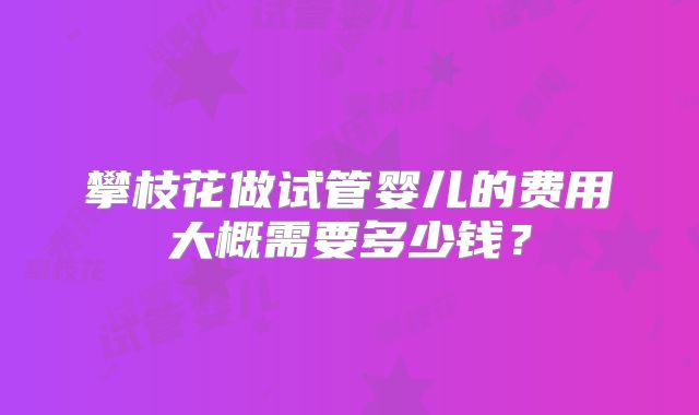 攀枝花做试管婴儿的费用大概需要多少钱?