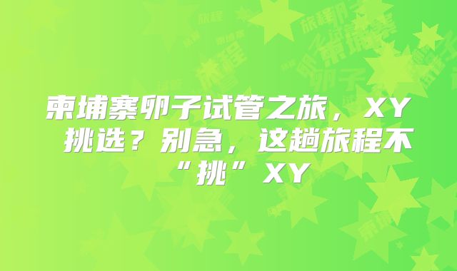 柬埔寨卵子试管之旅，XY 挑选？别急，这趟旅程不“挑”XY