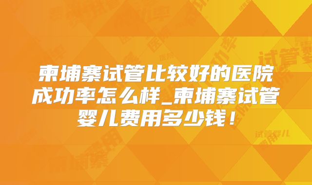 柬埔寨试管比较好的医院成功率怎么样_柬埔寨试管婴儿费用多少钱!