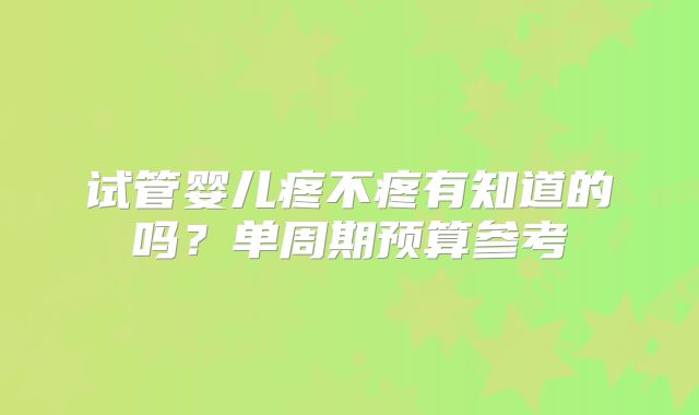 试管婴儿疼不疼有知道的吗?单周期预算参考