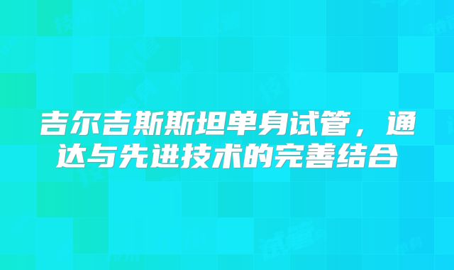 吉尔吉斯斯坦单身试管,通达与先进技术的完善结合