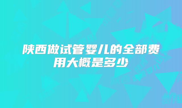 陕西做试管婴儿的全部费用大概是多少
