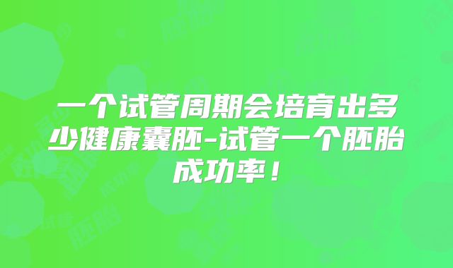 一个试管周期会培育出多少健康囊胚-试管一个胚胎成功率!