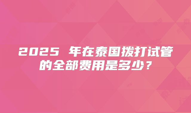2025 年在泰国拨打试管的全部费用是多少？