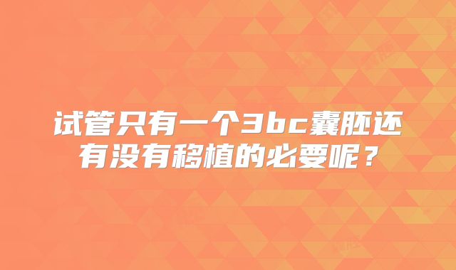 试管只有一个3bc囊胚还有没有移植的必要呢?