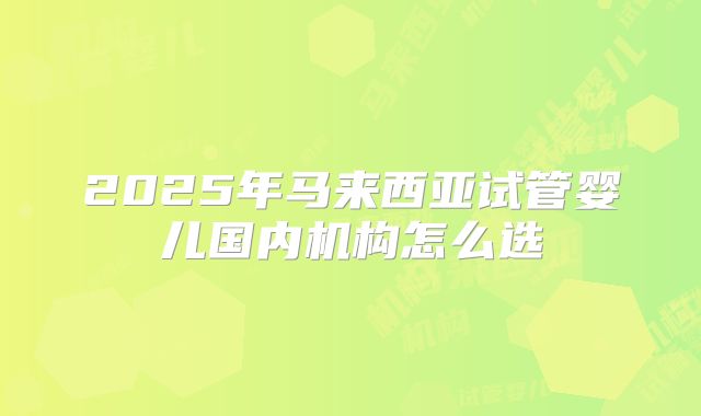 2025年马来西亚试管婴儿国内机构怎么选