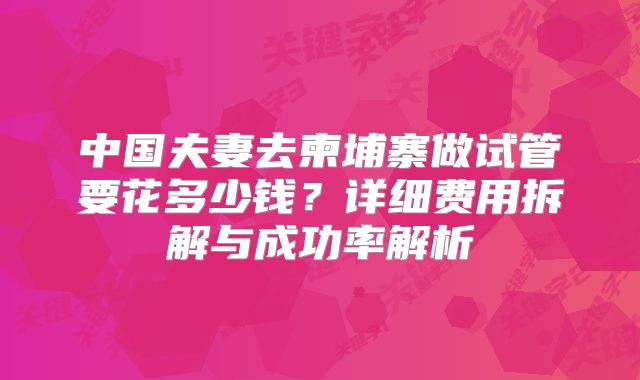 中国夫妻去柬埔寨做试管要花多少钱?详细费用拆解与成功率解析
