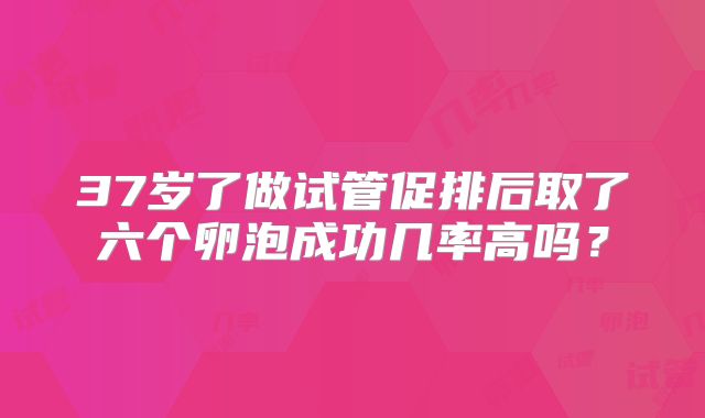 37岁了做试管促排后取了六个卵泡成功几率高吗？