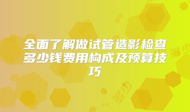 全面了解做试管造影检查多少钱费用构成及预算技巧
