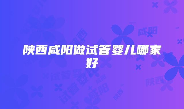 陕西咸阳做试管婴儿哪家好