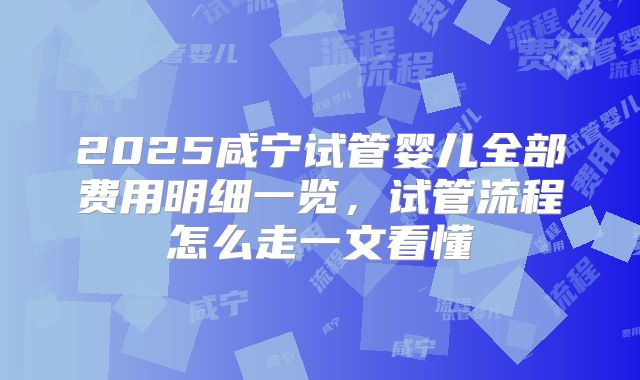 2025咸宁试管婴儿全部费用明细一览,试管流程怎么走一文看懂