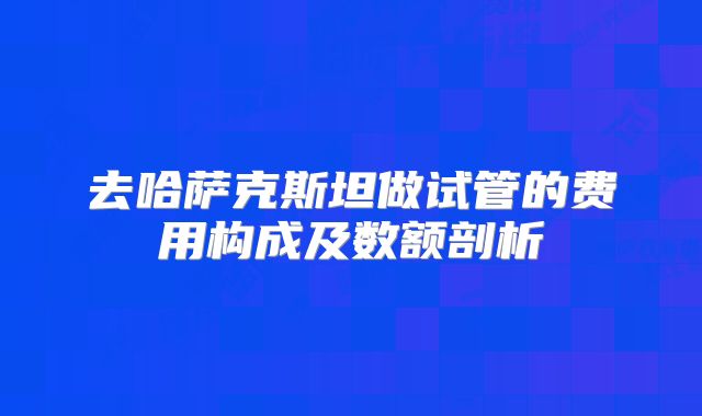 去哈萨克斯坦做试管的费用构成及数额剖析