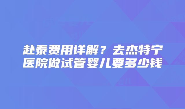 赴泰费用详解?去杰特宁医院做试管婴儿要多少钱
