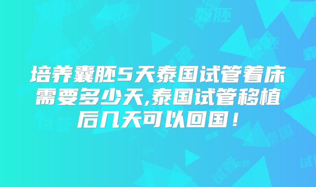 培养囊胚5天泰国试管着床需要多少天,泰国试管移植后几天可以回国!