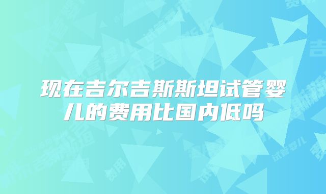 现在吉尔吉斯斯坦试管婴儿的费用比国内低吗