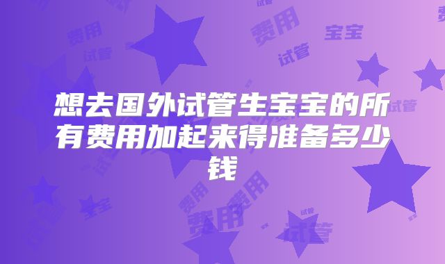 想去国外试管生宝宝的所有费用加起来得准备多少钱