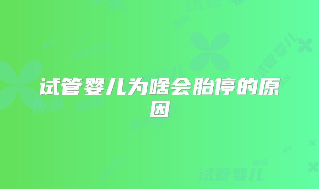 试管婴儿为啥会胎停的原因