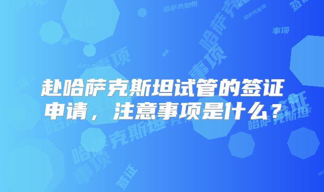 赴哈萨克斯坦试管的签证申请,注意事项是什么?