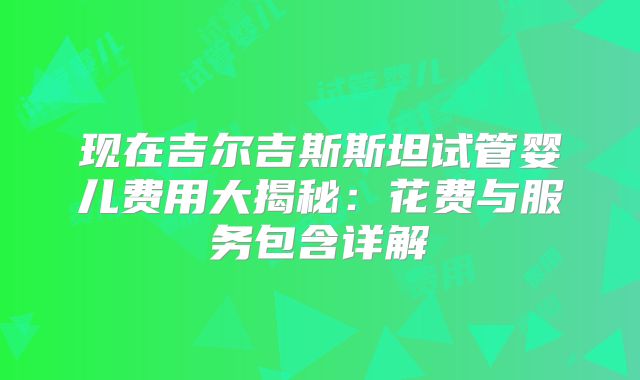 现在吉尔吉斯斯坦试管婴儿费用大揭秘:花费与服务包含详解