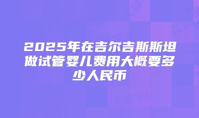 2025年在吉尔吉斯斯坦做试管婴儿费用大概要多少人民币