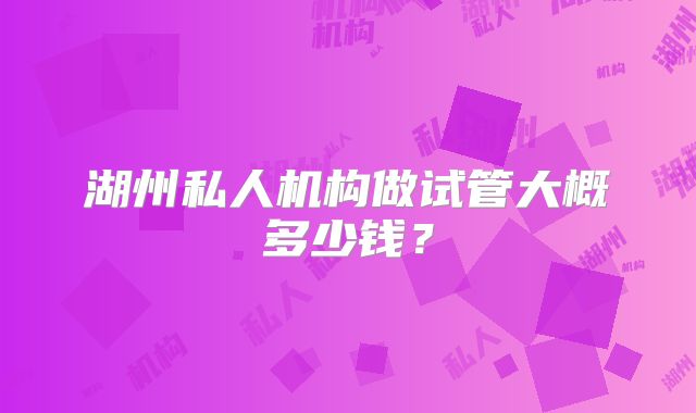湖州私人机构做试管大概多少钱?