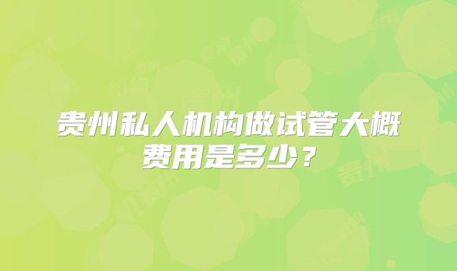 贵州私人机构做试管大概费用是多少？