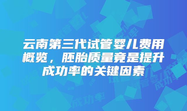 云南第三代试管婴儿费用概览,胚胎质量竟是提升成功率的关键因素