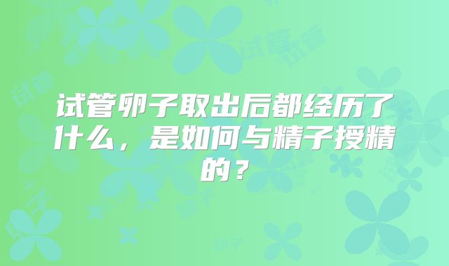 试管卵子取出后都经历了什么,是如何与精子授精的?