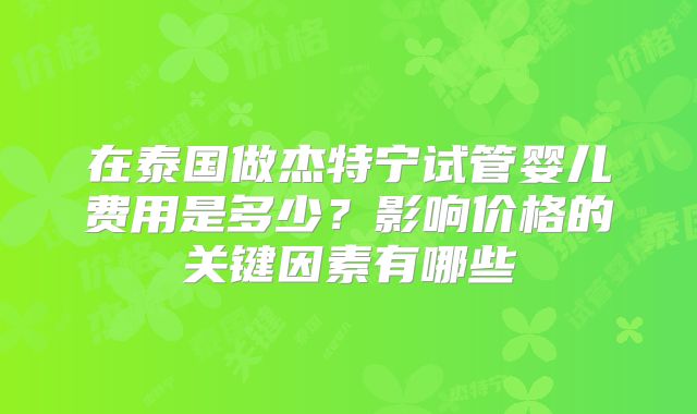 在泰国做杰特宁试管婴儿费用是多少？影响价格的关键因素有哪些