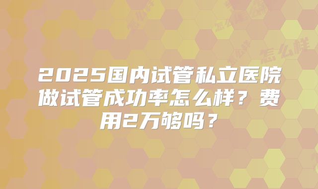 2025国内试管私立医院做试管成功率怎么样？费用2万够吗？