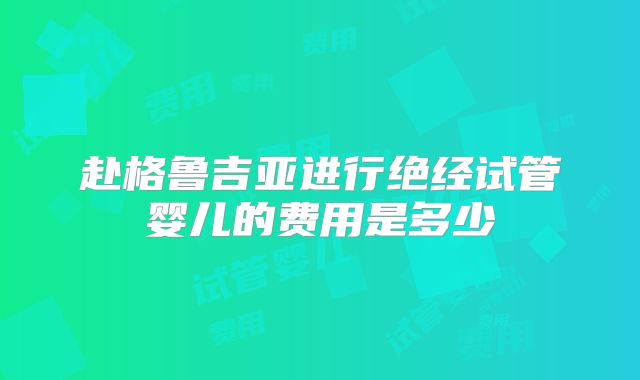 赴格鲁吉亚进行绝经试管婴儿的费用是多少