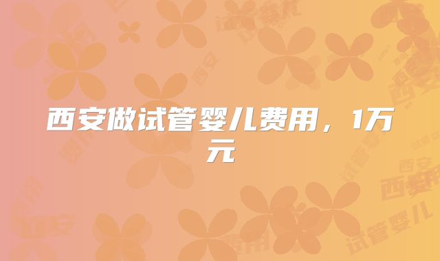 西安做试管婴儿费用,1万元
