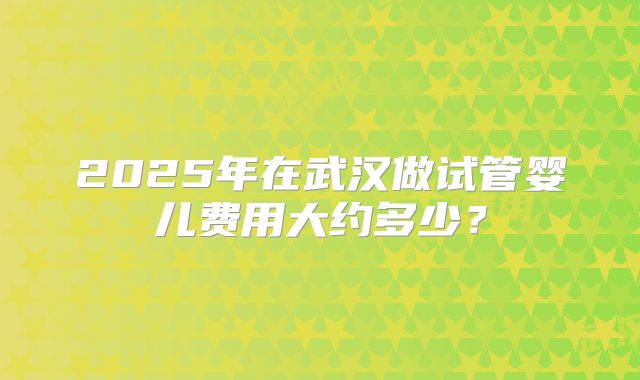 2025年在武汉做试管婴儿费用大约多少？
