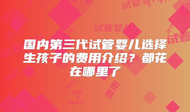 国内第三代试管婴儿选择生孩子的费用介绍?都花在哪里了