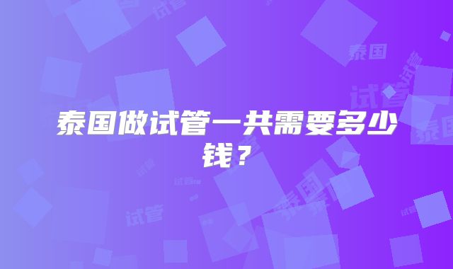 泰国做试管一共需要多少钱?