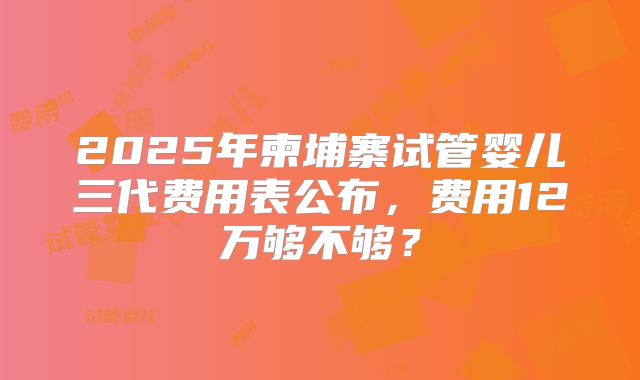 2025年柬埔寨试管婴儿三代费用表公布,费用12万够不够?