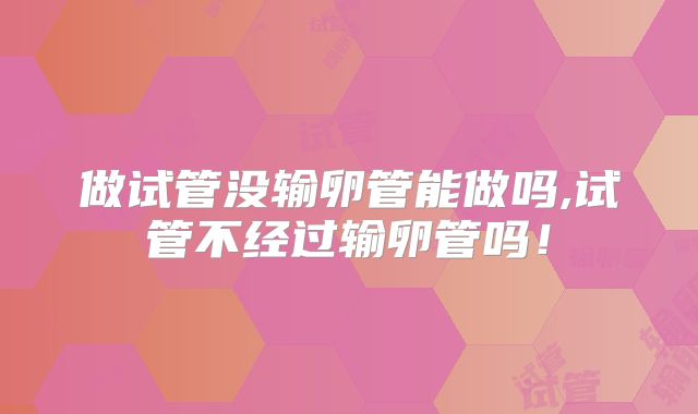 做试管没输卵管能做吗,试管不经过输卵管吗!