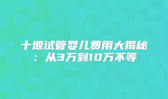 十堰试管婴儿费用大揭秘:从3万到10万不等