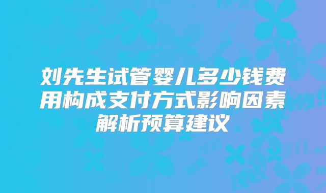刘先生试管婴儿多少钱费用构成支付方式影响因素解析预算建议