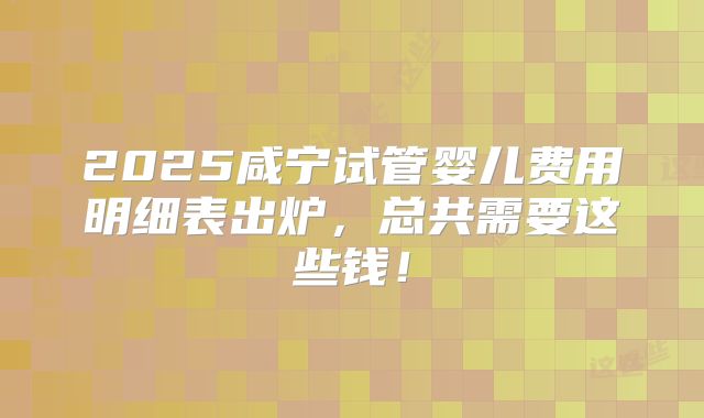 2025咸宁试管婴儿费用明细表出炉,总共需要这些钱!