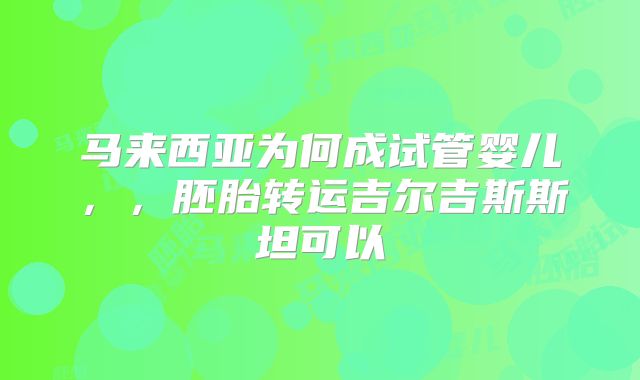 马来西亚为何成试管婴儿,,胚胎转运吉尔吉斯斯坦可以