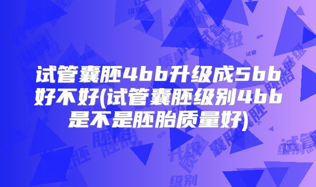 试管囊胚4bb升级成5bb好不好(试管囊胚级别4bb是不是胚胎质量好)