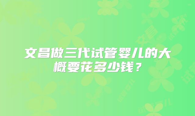 文昌做三代试管婴儿的大概要花多少钱?