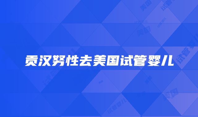 贡汉努性去美国试管婴儿
