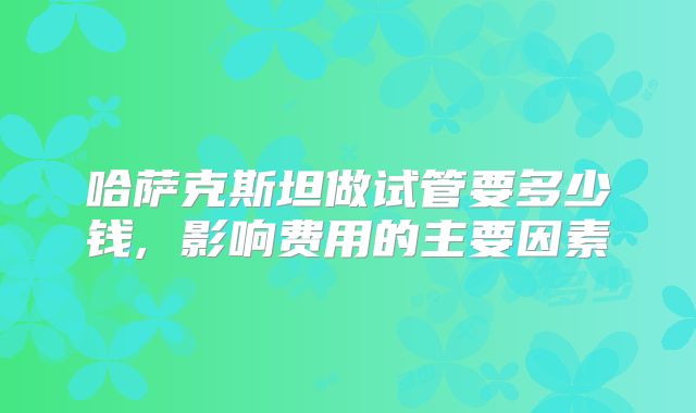 哈萨克斯坦做试管要多少钱, 影响费用的主要因素
